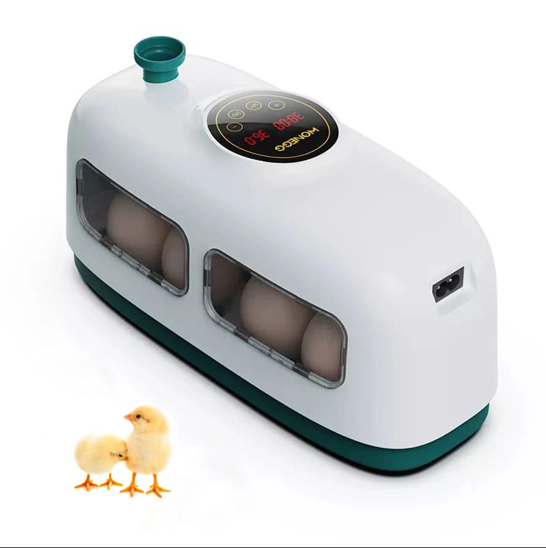 c892a3d92ca8772fa79f95c389de23fe.png